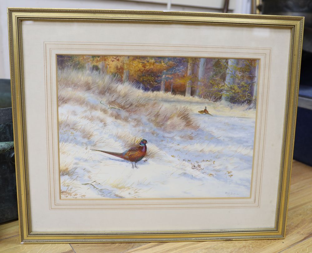 Philip Rickman (1891-1982), watercolour, Pheasant in winter, signed and dated 1975, 28 x 38cm